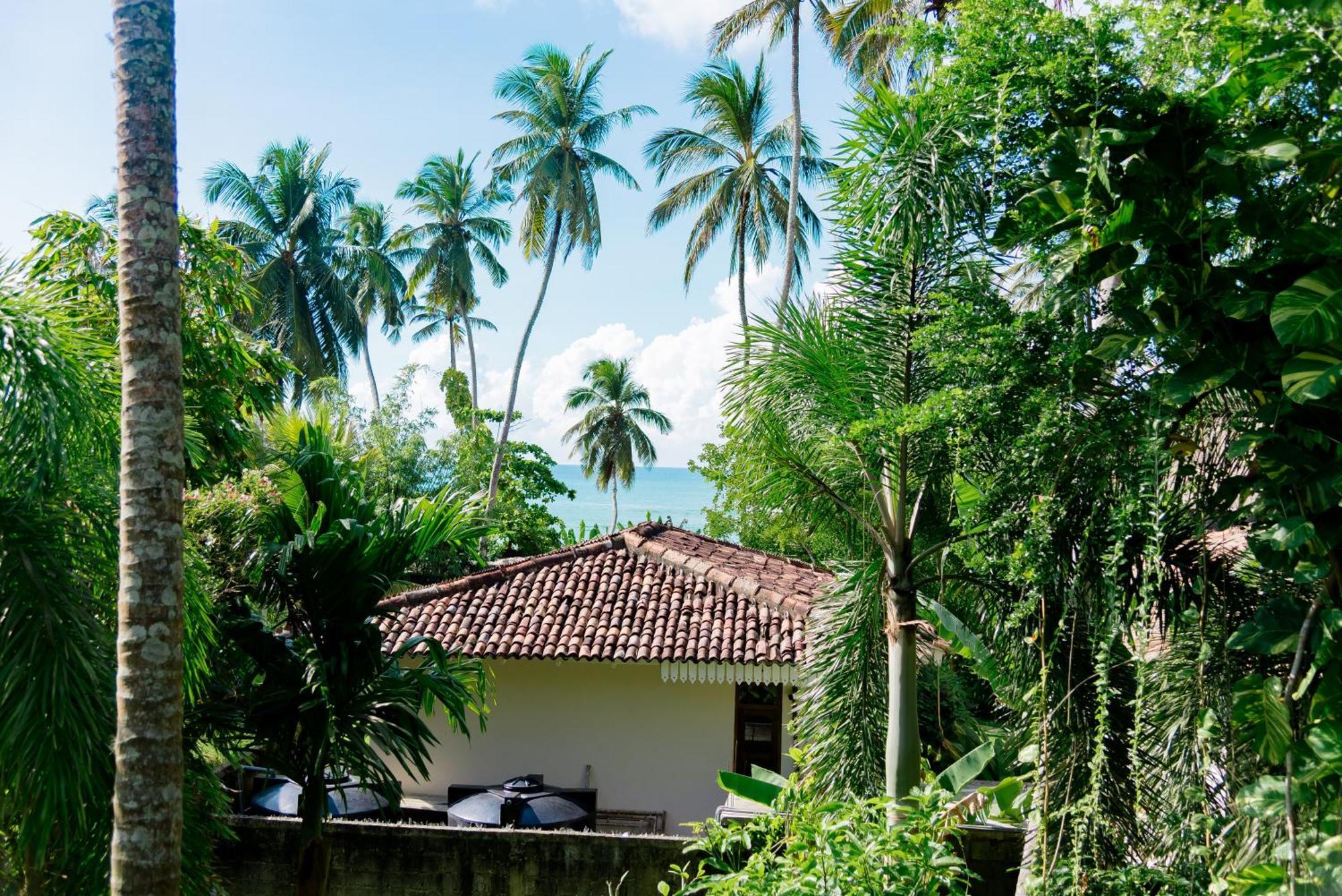 Shadow Surf Bay Hotell Tangalle Exteriör bild