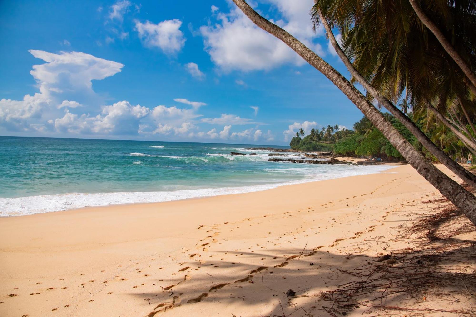 Shadow Surf Bay Hotell Tangalle Exteriör bild